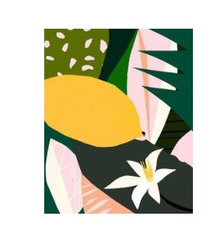 29b4a7199b608b9cc413a9f6dd736351